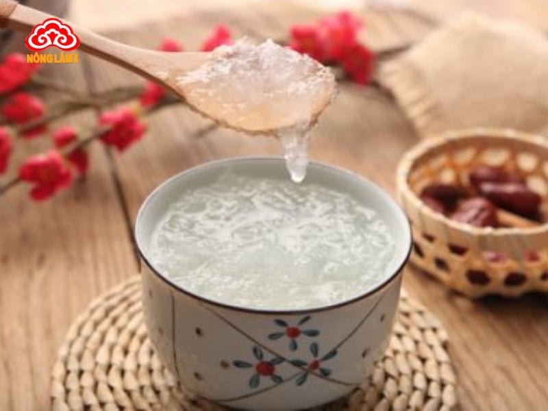 Ngày Nào Cũng Ăn Yến Sào Có Tốt Không, Có Hại Không? 11 Thời điểm ăn yến sào tốt nhất