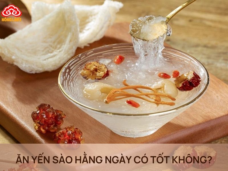 Ngày Nào Cũng Ăn Yến Sào Có Tốt Không, Có Hại Không? 7 Ăn yến sào hằng ngày có tốt không?