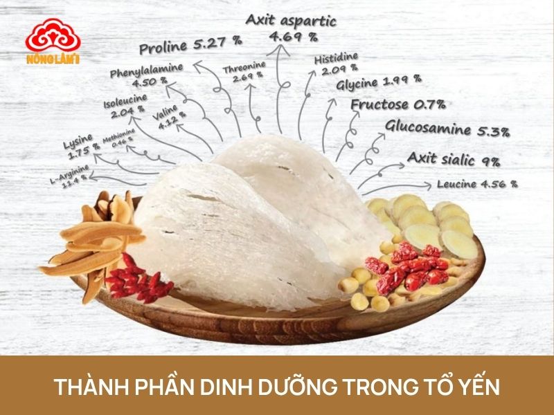 Ăn/ Uống Yến Sào Có Tăng Cân, Có Mập Không? 7 Thành phần dinh dưỡng của yến sào