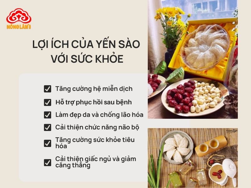 Ngày Nào Cũng Ăn Yến Sào Có Tốt Không, Có Hại Không? 8 Ăn yến sào đúng cách mang lại nhiều lợi ích đối với sức khỏe