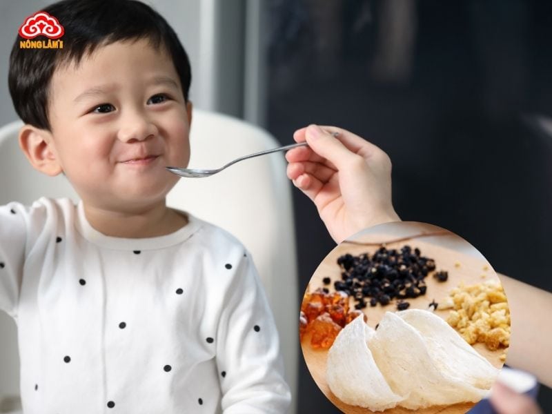 Cách Dùng Yến Sào Cho Trẻ Biếng Ăn, Suy Dinh Dưỡng 8 Yến sào giúp trẻ ăn uống ngon hơn