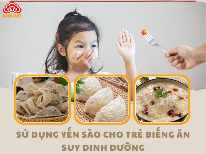 Cách Dùng Yến Sào Cho Trẻ Biếng Ăn, Suy Dinh Dưỡng 6 Cách sử dụng yến sào cho trẻ biếng ăn, suy dinh dưỡng
