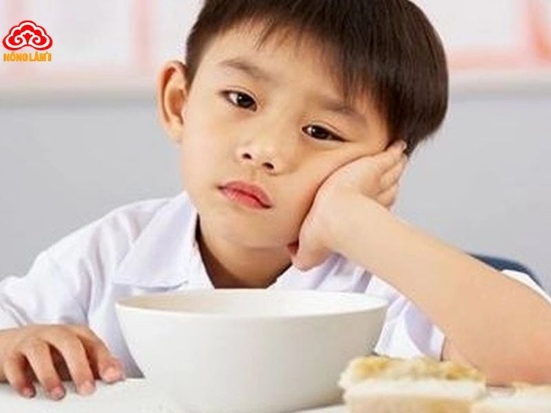 Cách Dùng Yến Sào Cho Trẻ Biếng Ăn, Suy Dinh Dưỡng 7 Biếng ăn là hội chứng rối loạn ăn uống phổ biến ở 20-30% trẻ nhỏ