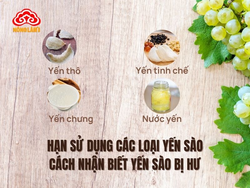Hạn Sử Dụng Của Yến Sào Bao Lâu? Làm Sao Biết Yến Hết Hạn/ Bị Hư? 5 Tìm hiểu hạn sử dụng các loại yến sào
