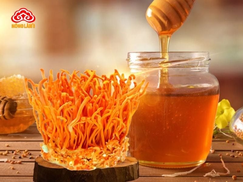 Đông Trùng Hạ Thảo Bị Mốc Có Sử Dụng Được Không? Xử Lý Như Thế Nào? 14 Bảo quản đông trùng hạ thảo ngâm mật ong