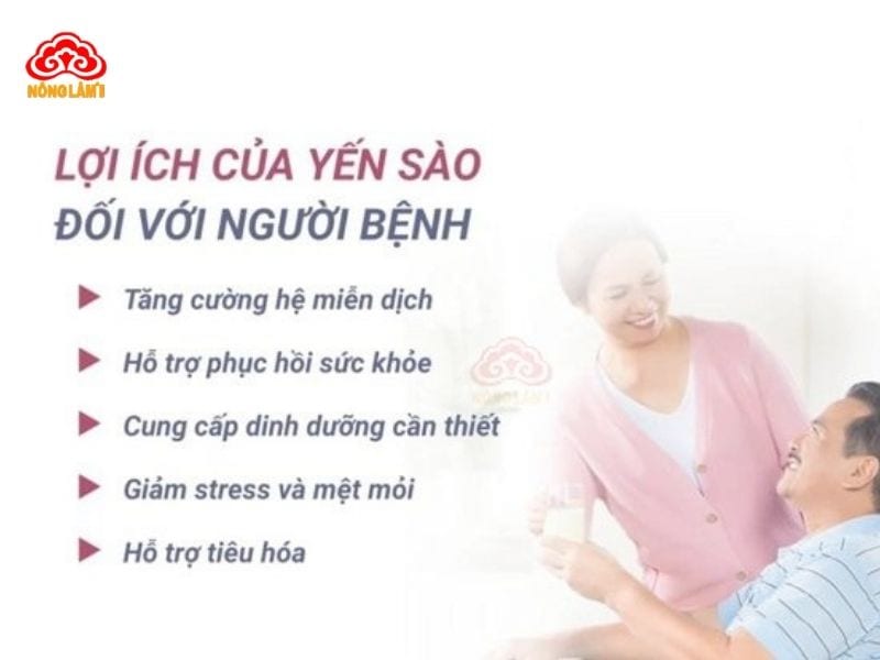 Tác Dụng Của Yến Sào Với Người Bệnh: Cách Dùng &Amp; Liều Dùng 8 Lợi ích của yến sào với người bệnh