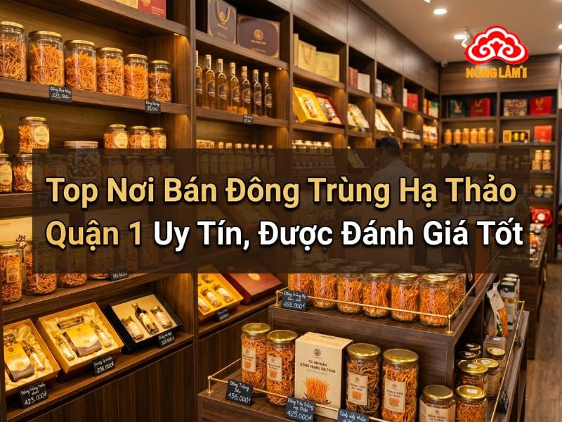 Top địa chỉ bán đông trùng hạ thảo quận 1 úy tín