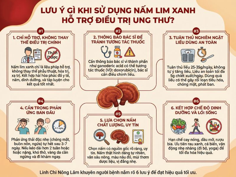 Nấm Lim Xanh Hỗ Trợ Điều Trị Loại Bệnh Ung Thư Nào? 10 Lưu ý khi sử dụng nấm lim xanh hỗ trợ điều trị ung thư
