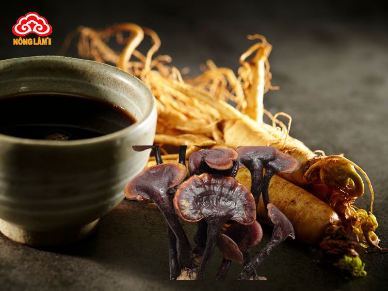 Cách Ngâm Rượu Nấm Lim Xanh Chuẩn, Tốt Cho Sức Khỏe 8 Ngâm rượu nấm lim xanh kết hợp nhân sâm