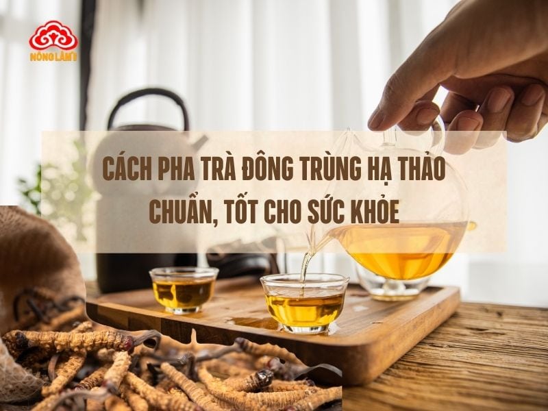 Cách pha trà đông trùng hạ thảo chuẩn cho sức khỏe