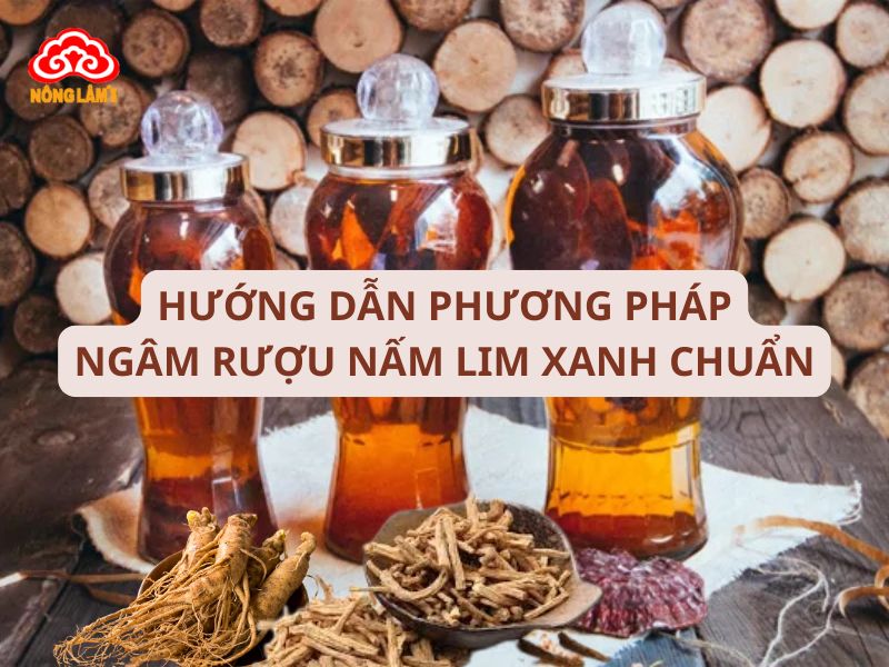 Cách Ngâm Rượu Nấm Lim Xanh Chuẩn, Tốt Cho Sức Khỏe 6 Hướng dẫn ngâm rượu nấm lim xanh chuẩn