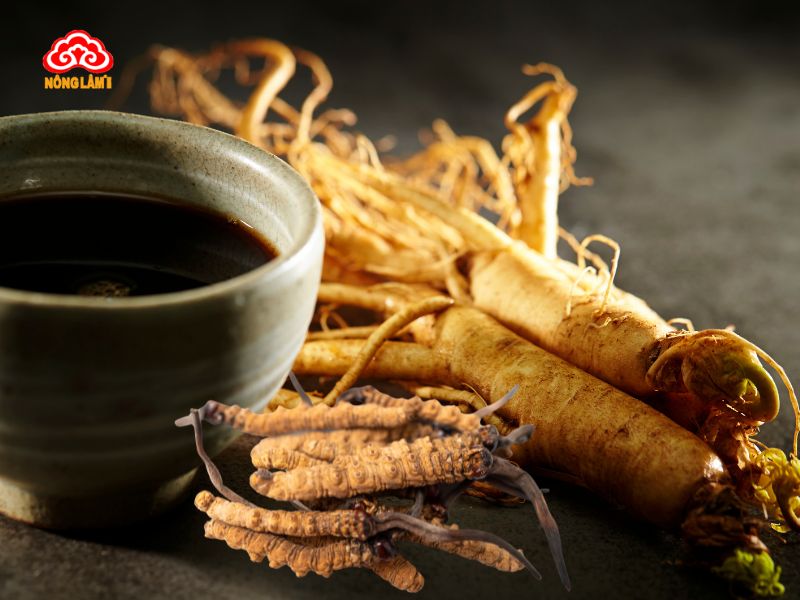 Cách pha trà đông trùng hạ thảo, nhân sâm