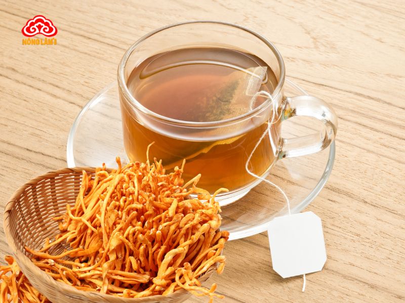 Cách pha trà đông trùng hạ thảo túi lọc