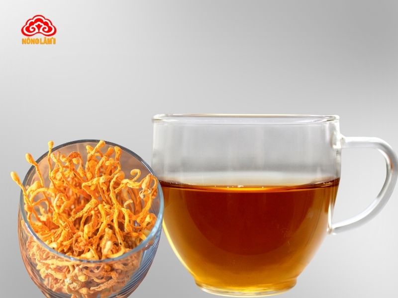 Cách pha trà đông trùng hạ thảo khô
