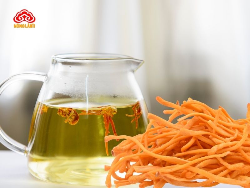 Cách pha trà đông trùng hạ thảo tươi
