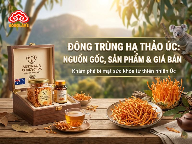 Đông Trùng Hạ Thảo Úc: Nguồn Gốc, Sản Phẩm &Amp; Giá Bán 8 Đông trùng hạ thảo úc