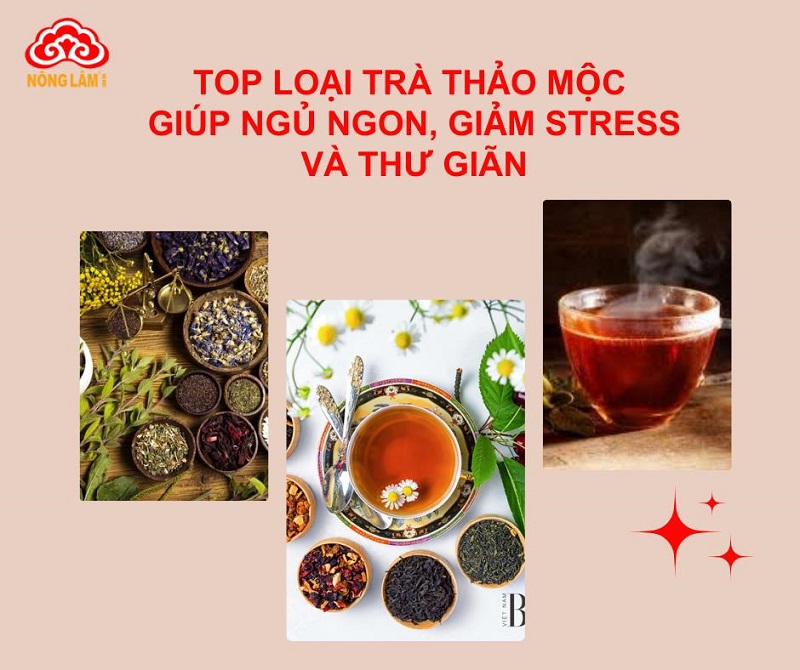 Trà thảo mộc