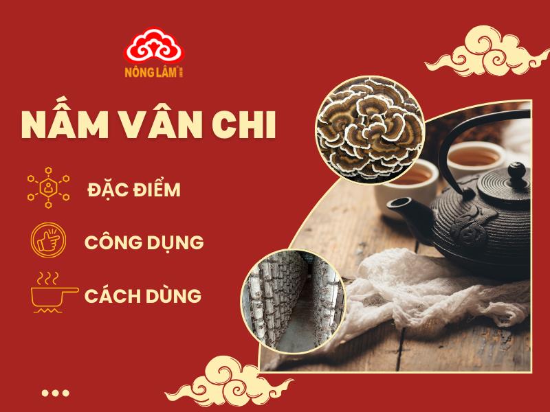 Nấm vân chi