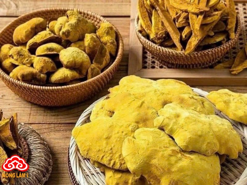 Nấm thượng hoàng giúp tăng cường sức đề kháng, giảm cholesterol