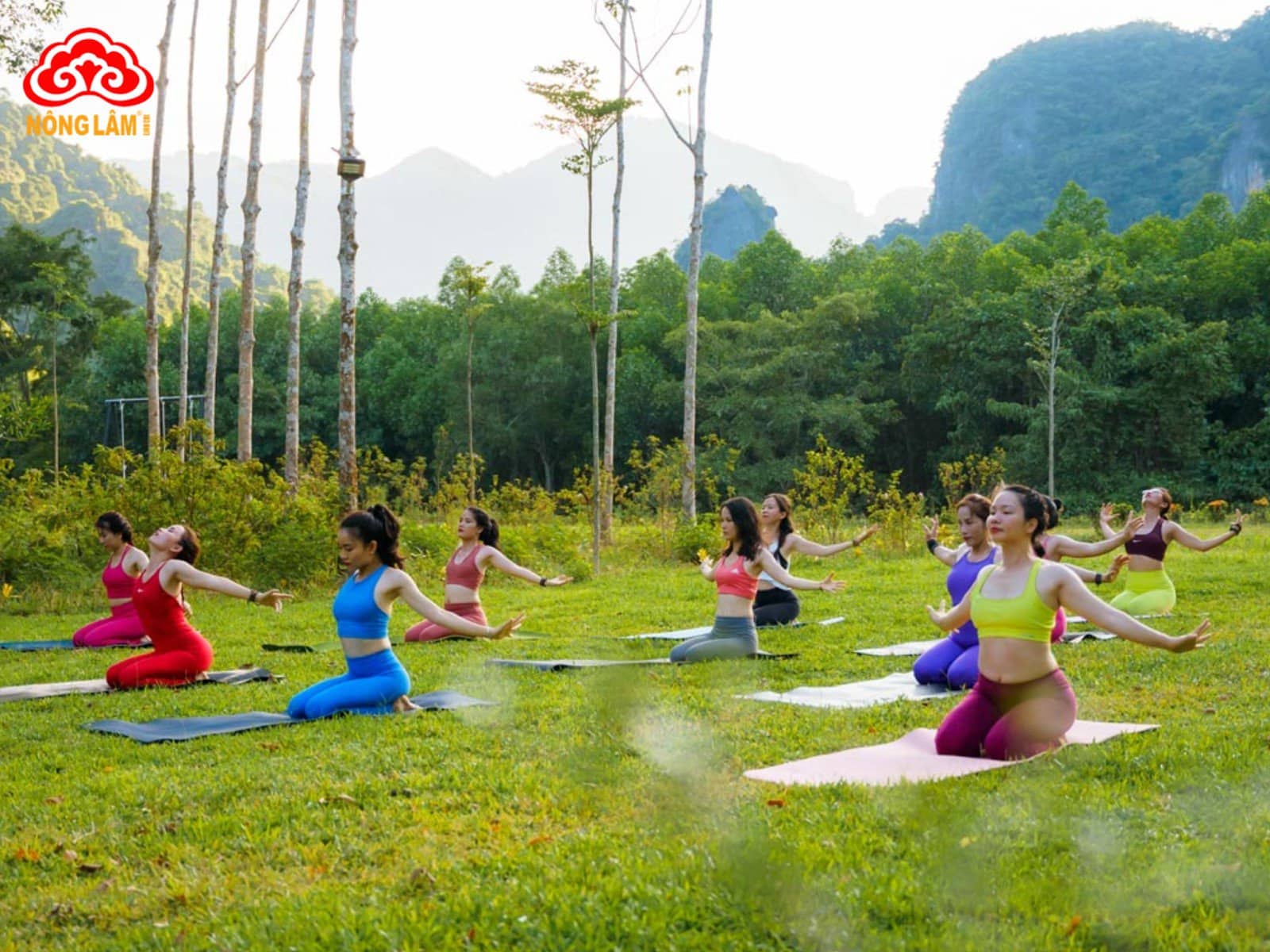 Khóa học yoga - món quà tặng thiết thực, ý nghĩa cho sức khỏe