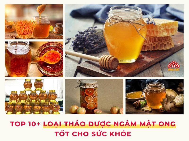 thảo dược ngâm mật ong