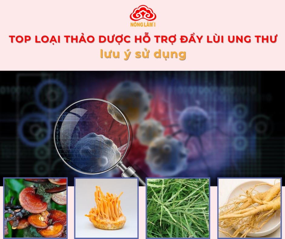 Thảo dược đẩy lùi ung thư