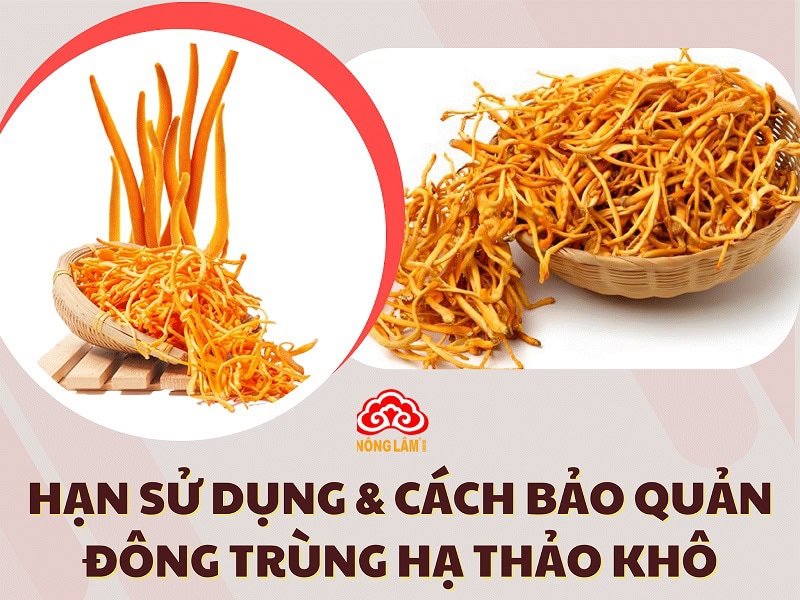 Hạn sử dụng và cách bảo quản đông trùng hạ thảo khô