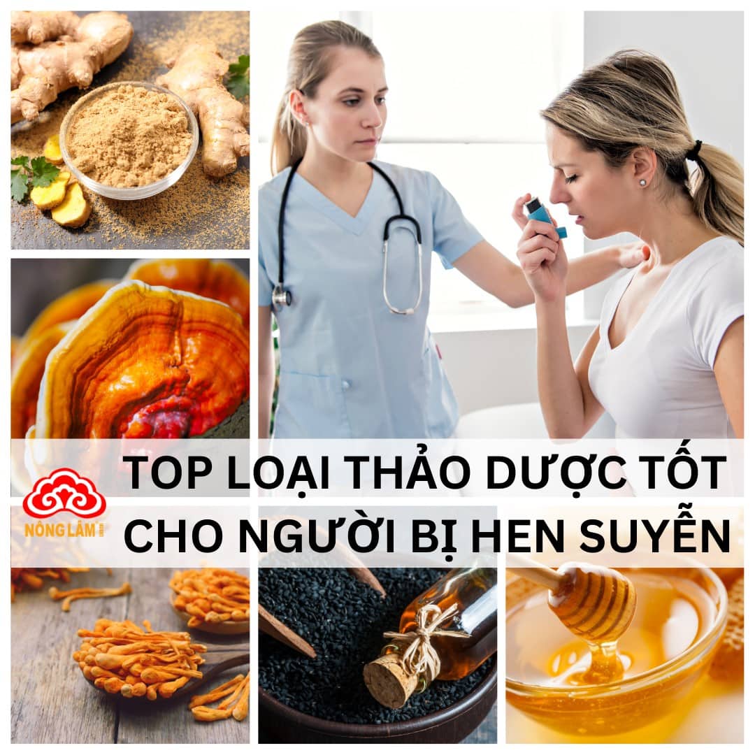 Top 8 Loại Thảo Dược Tốt Cho Người Bị Hen Suyễn