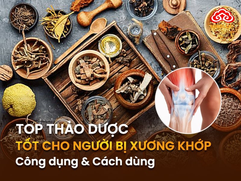 thảo dược cho người bị xương khớp