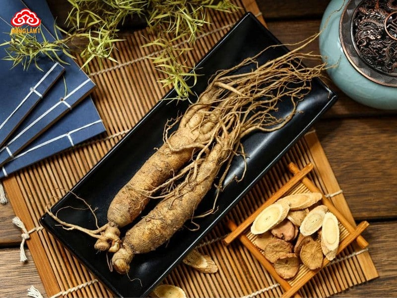 Nhân sâm (Panax Ginseng)