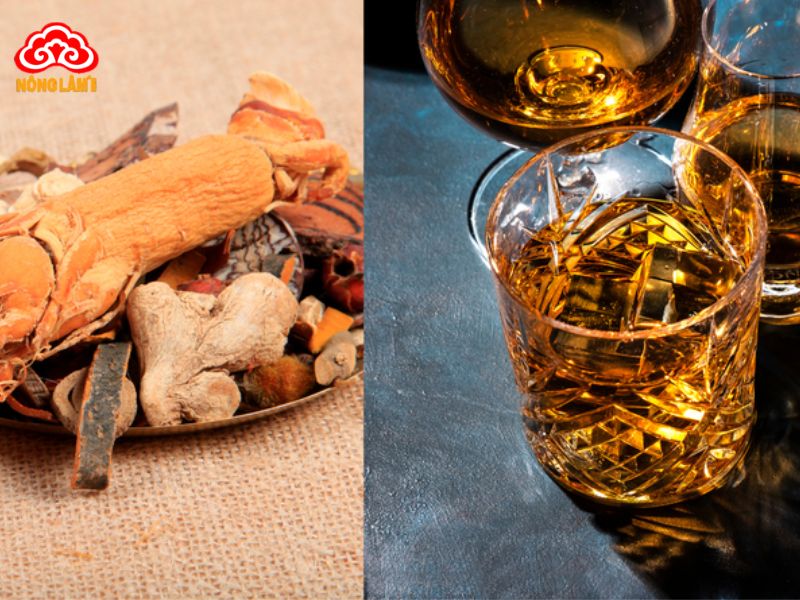 Top 10 Loại Rượu Ngâm Chữa Yếu Sinh Lý Hiệu Quả 24 Nguyên tắc ngâm rượu chữa yếu sinh lý