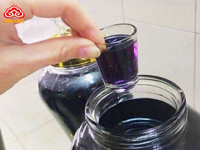 Top 10 Loại Rượu Ngâm Chữa Yếu Sinh Lý Hiệu Quả 17 Rượu ba kích