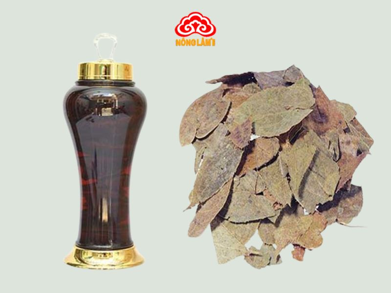 Top 10 Loại Rượu Ngâm Chữa Yếu Sinh Lý Hiệu Quả 20 Rượu dâm dương hoắc