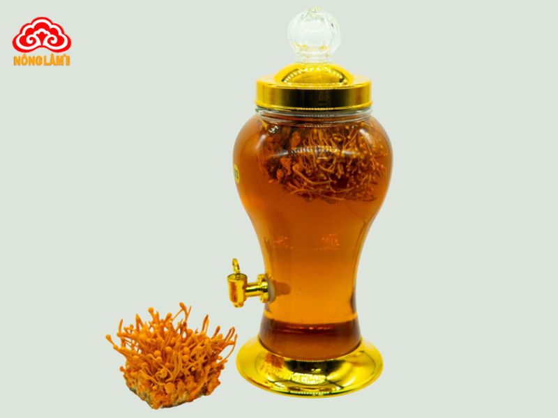 Top 10 Loại Rượu Ngâm Chữa Yếu Sinh Lý Hiệu Quả 15 Rượu đông trùng hạ thảo