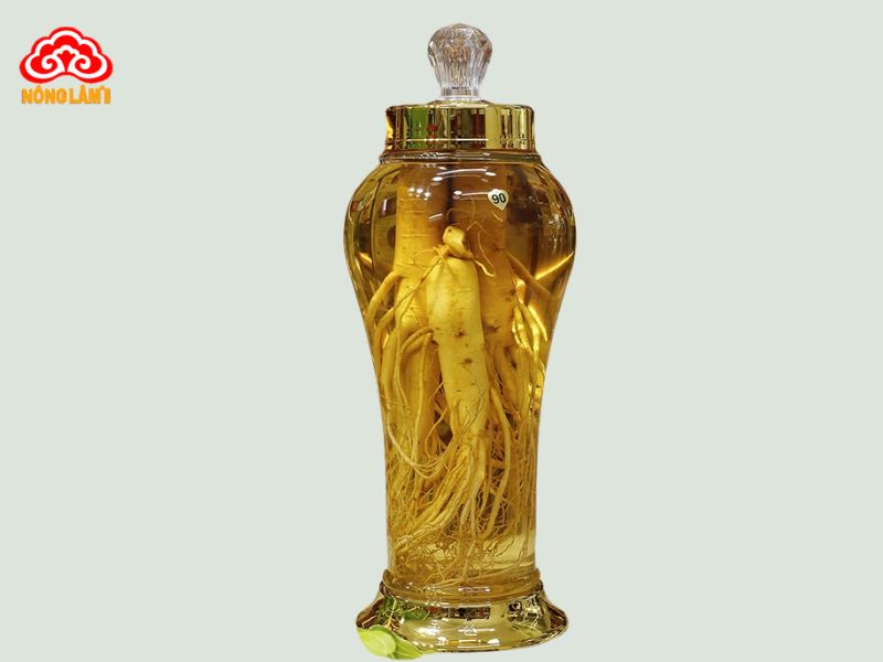 Top 10 Loại Rượu Ngâm Chữa Yếu Sinh Lý Hiệu Quả 16 Rượu nhân sâm