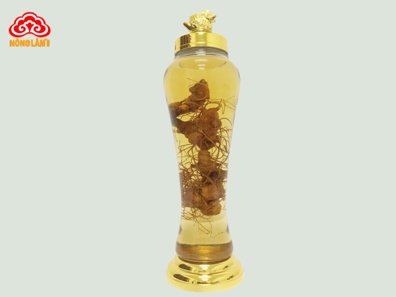 Top 10 Loại Rượu Ngâm Chữa Yếu Sinh Lý Hiệu Quả 23 Rượu sâm ngọc linh