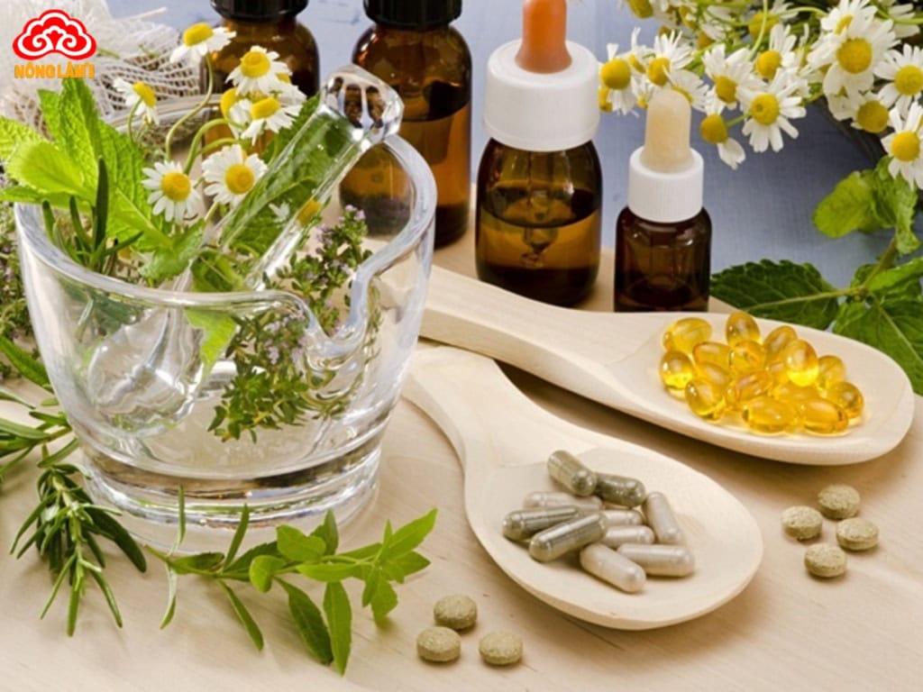 Thảo Dược Là Gì? Vai Trò, Phân Loại, Ứng Dụng & Lưu Ý Sử Dụng 11 Thảo dược được chiết xuất thành thuốc
