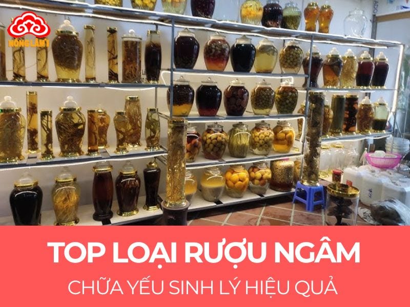 Top 10 Loại Rượu Ngâm Chữa Yếu Sinh Lý Hiệu Quả 13 Top 10 bài thuốc ngâm rượu chữa yếu sinh lý