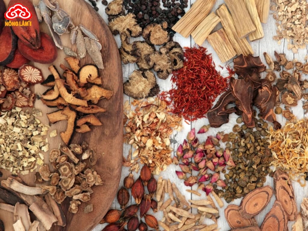 Thảo Dược Là Gì? Vai Trò, Phân Loại, Ứng Dụng & Lưu Ý Sử Dụng 13 Thảo dược được ứng dụng trong y học
