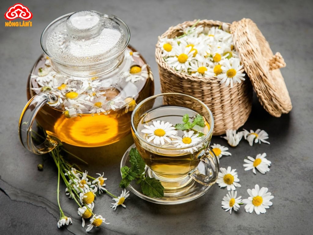 Thảo Dược Là Gì? Vai Trò, Phân Loại, Ứng Dụng & Lưu Ý Sử Dụng 14 Ứng dụng thảo dược trong làm đẹp