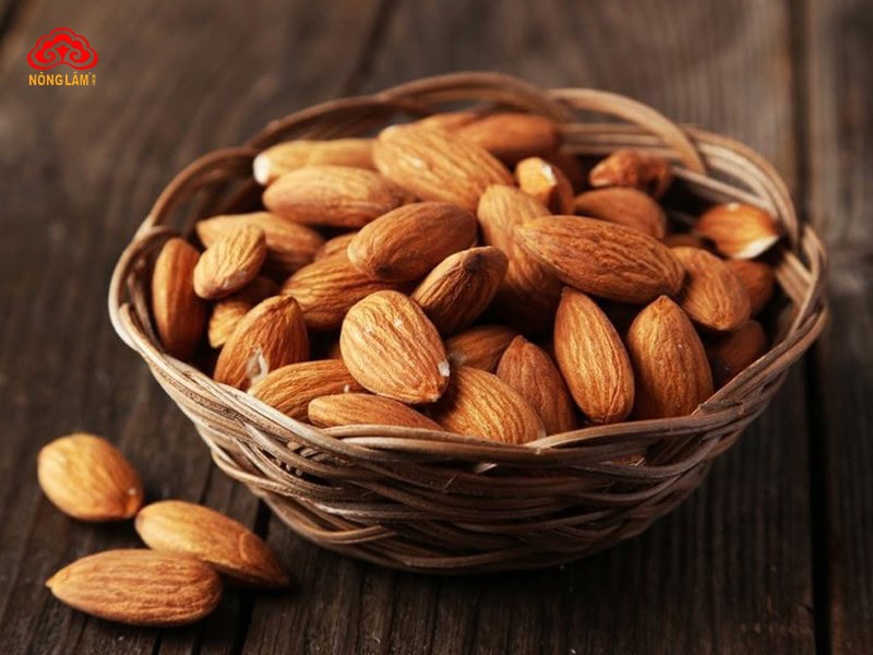 Top 9+ Loại Hạt, Quả Khô Tốt Cho Sức Khỏe Nên Ăn Hằng Ngày 28 Hạnh nhân (almond)