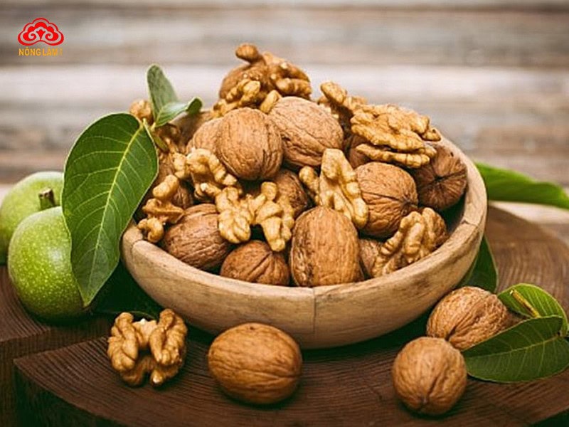 Top 9+ Loại Hạt, Quả Khô Tốt Cho Sức Khỏe Nên Ăn Hằng Ngày 22 Hạt óc chó (walnut)