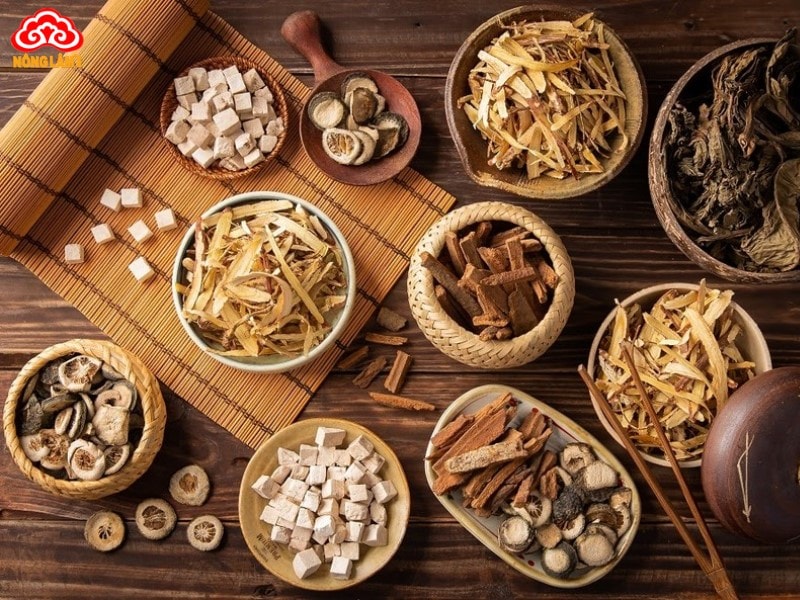 Top 9+ Thảo Dược Tốt Cho Người Già &Amp; Lưu Ý Sử Dụng 27 Lưu ý khi dùng thảo dược cho người già