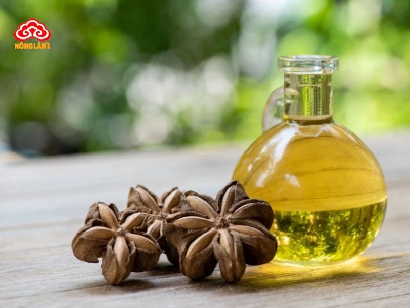 Dầu Sacha Inchi: Nguồn Gốc, Thành Phần, Công Dụng, Cách Dùng 16 Lưu ý khi sử dụng dầu sacha inchi
