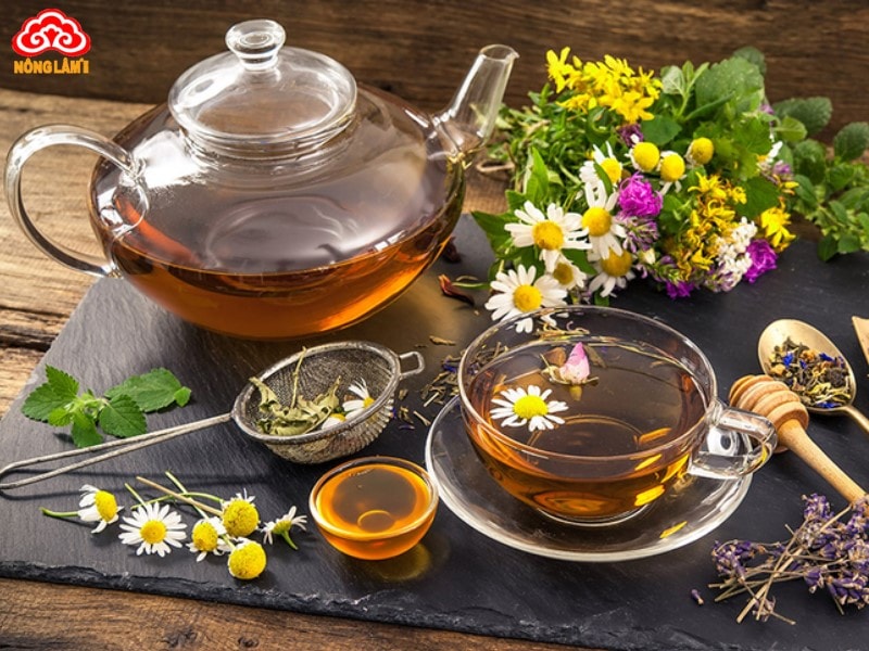 Top 9+ Thảo Dược Tốt Cho Người Già &Amp; Lưu Ý Sử Dụng 28 Những sai lầm khi dùng thảo dược cho người già cần biết