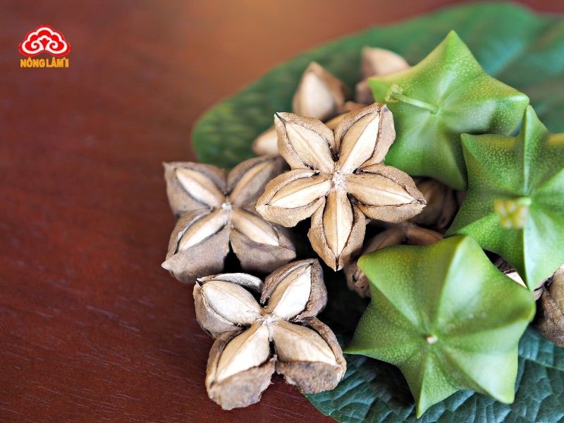 Dầu Sacha Inchi: Nguồn Gốc, Thành Phần, Công Dụng, Cách Dùng 11 Thành phần dinh dưỡng dầu sacha inchi