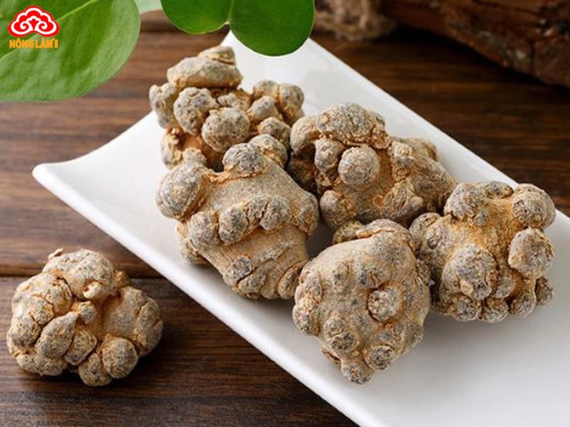 Top 9+ Thảo Dược Tốt Cho Người Già &Amp; Lưu Ý Sử Dụng 18 Tam thất