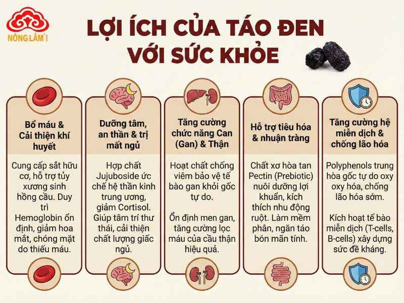Táo Đen: Đặc Điểm, Thành Phần, Công Dụng &Amp; Cách Dùng 10 Lợi ích của táo đen với sức khỏe