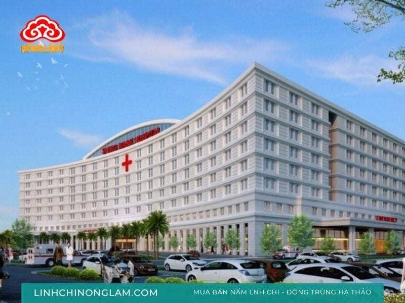 6 Phòng Khám Da Liễu Tại Đồng Nai Uy Tín, Hiệu Quả 12 Bệnh viện đại học y dược shing mark đồng nai