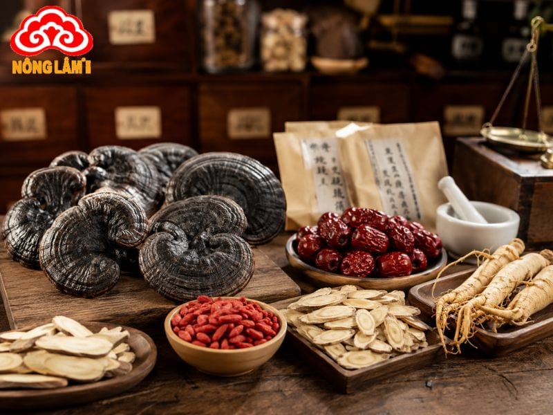 Nấm Linh Chi Đen: Đặc Điểm, Công Dụng, Cách Dùng &Amp; Báo Giá 12 Các thảo dược kết hợp hiệu quả với nấm linh chi đen